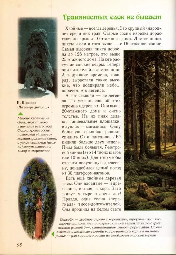 Светлана Лаврова - Занимательная ботаника для малышей - Страница № 101