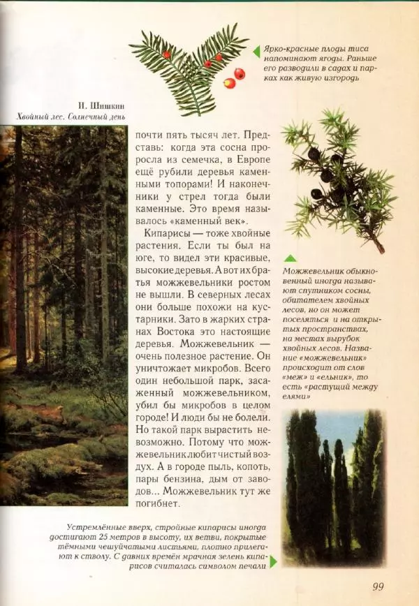 Светлана Лаврова - Занимательная ботаника для малышей - Страница № 102