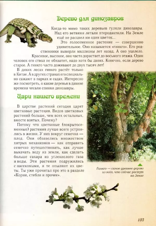Светлана Лаврова - Занимательная ботаника для малышей - Страница № 106