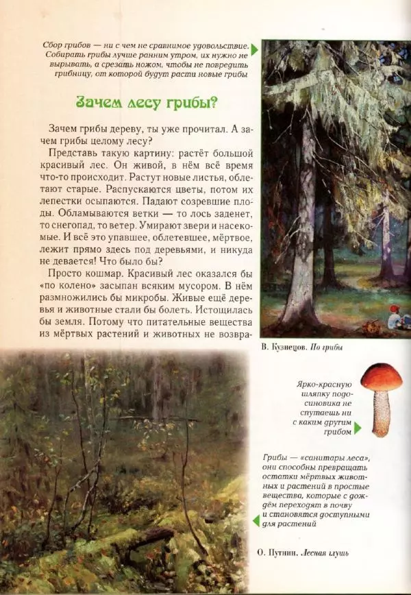 Светлана Лаврова - Занимательная ботаника для малышей - Страница № 111