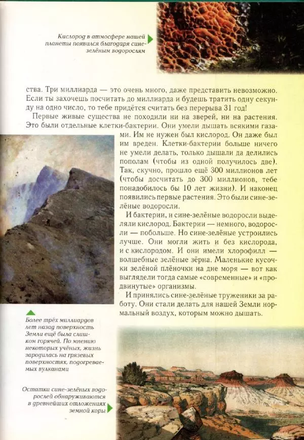 Светлана Лаврова - Занимательная ботаника для малышей - Страница № 118