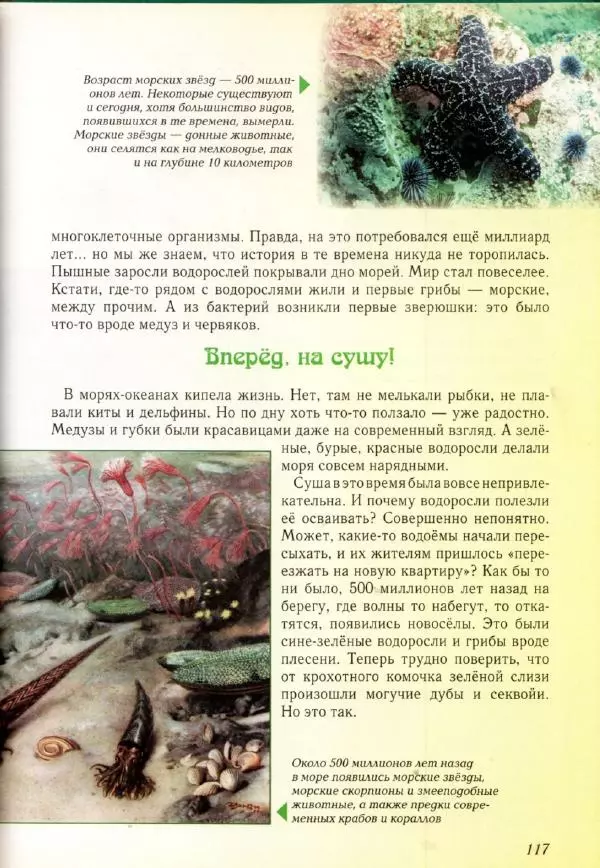 Светлана Лаврова - Занимательная ботаника для малышей - Страница № 120