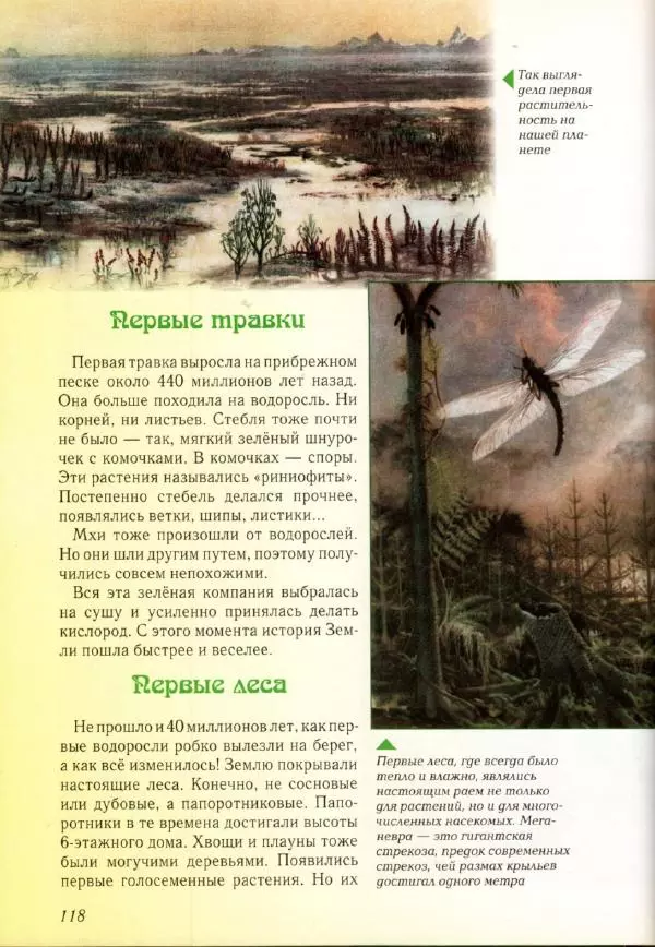 Светлана Лаврова - Занимательная ботаника для малышей - Страница № 121