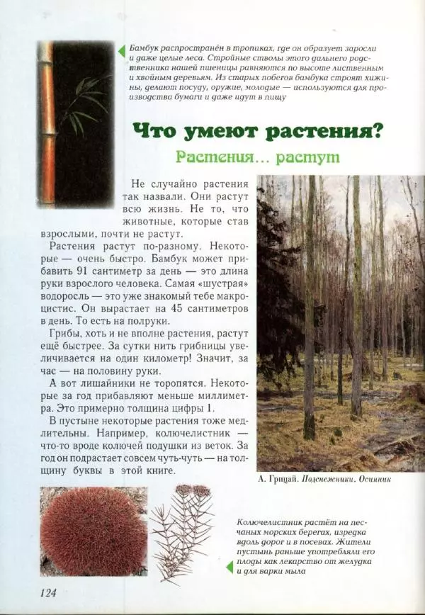 Светлана Лаврова - Занимательная ботаника для малышей - Страница № 127