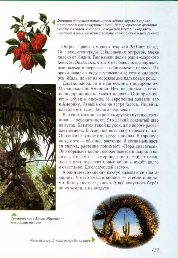 Светлана Лаврова - Занимательная ботаника для малышей - Страница № 132