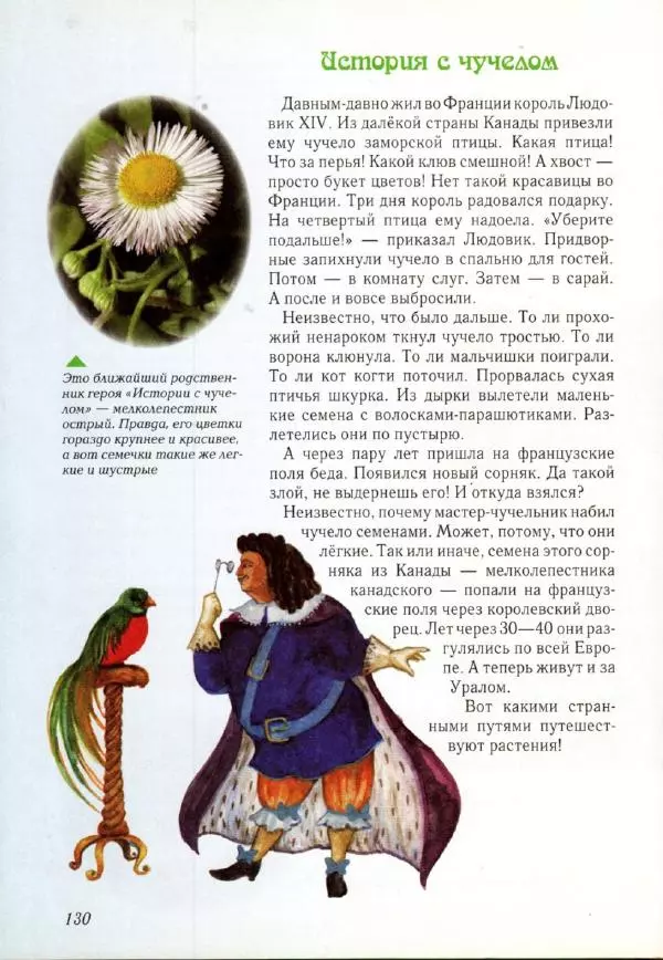 Светлана Лаврова - Занимательная ботаника для малышей - Страница № 133