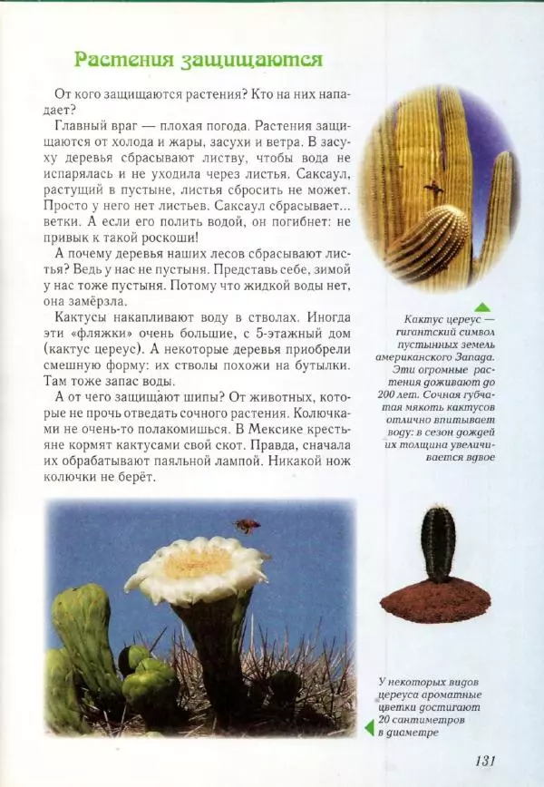 Светлана Лаврова - Занимательная ботаника для малышей - Страница № 134