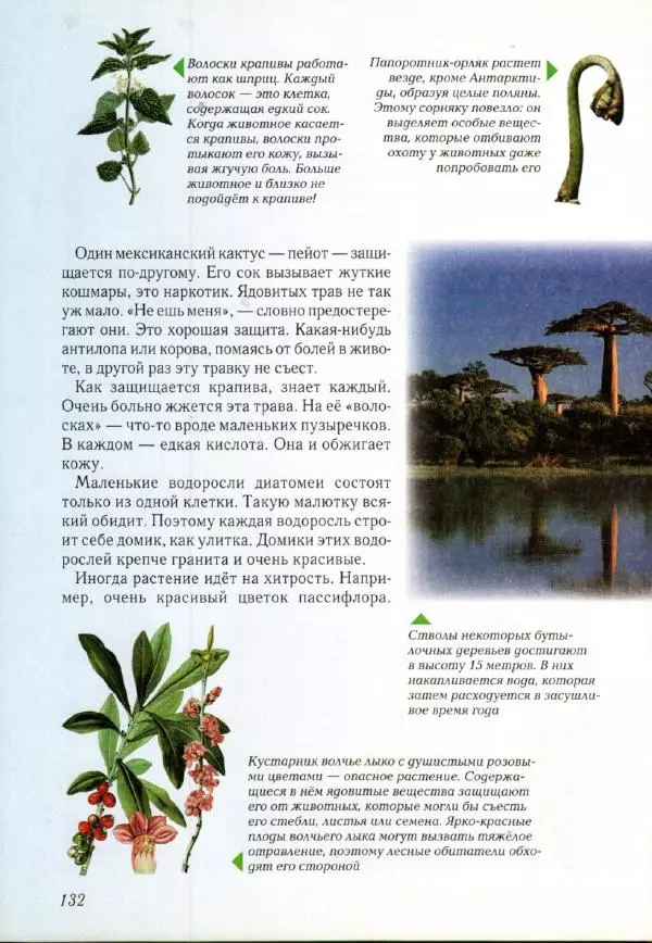 Светлана Лаврова - Занимательная ботаника для малышей - Страница № 135