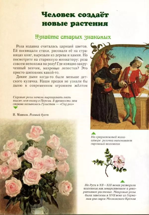 Светлана Лаврова - Занимательная ботаника для малышей - Страница № 139