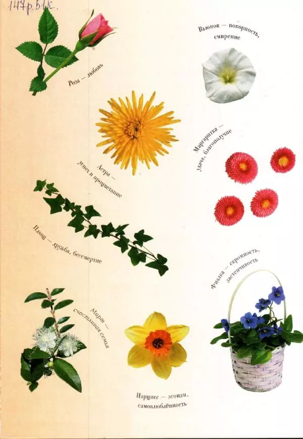 Светлана Лаврова - Занимательная ботаника для малышей - Страница № 148