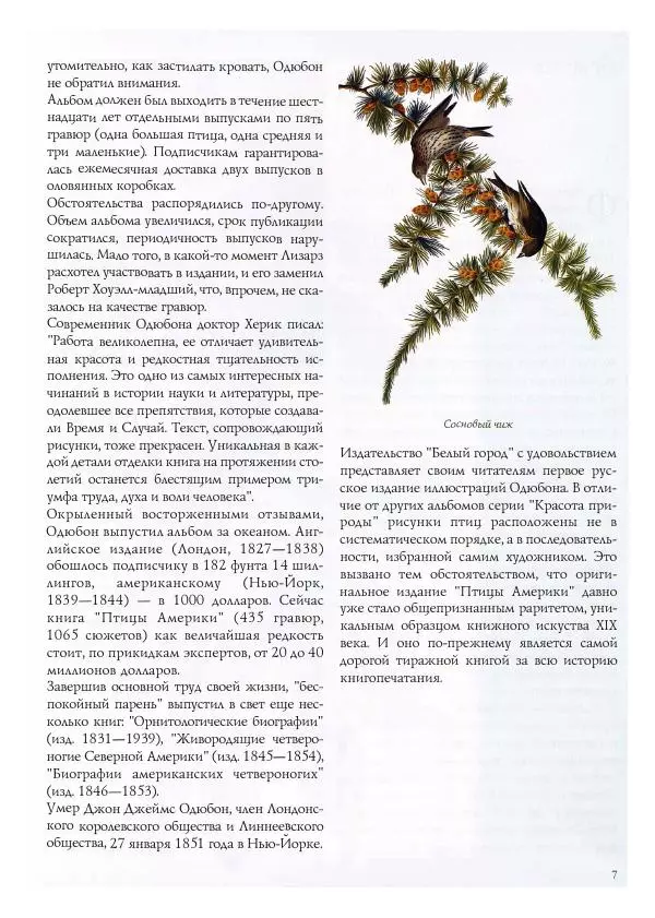 Джон Одюбон - Птицы Америки - Страница № 9