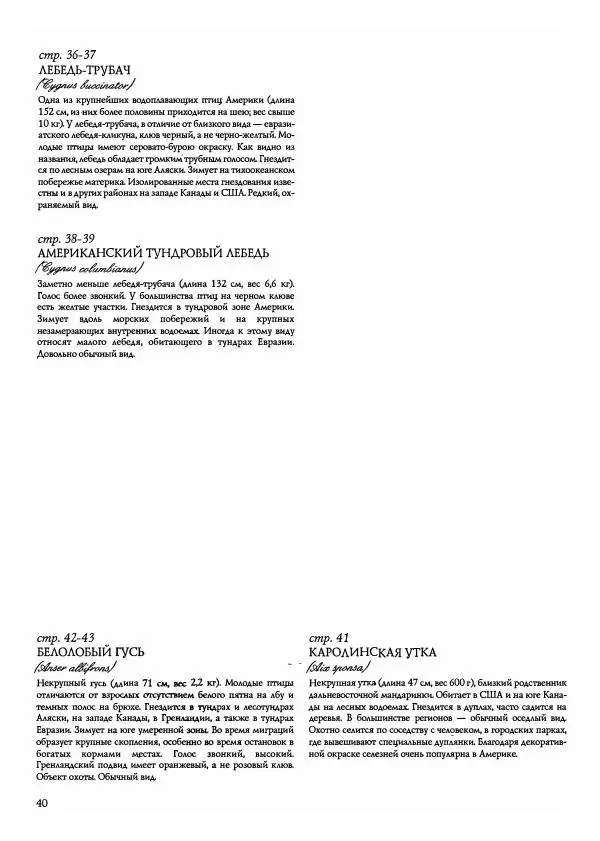 Джон Одюбон - Птицы Америки - Страница № 42