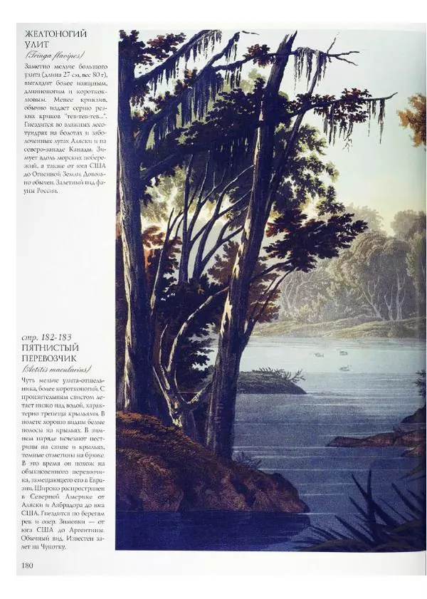 Джон Одюбон - Птицы Америки - Страница № 181