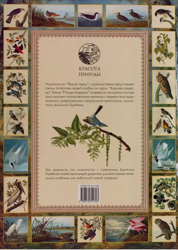Джон Одюбон - Птицы Америки - Страница № 418