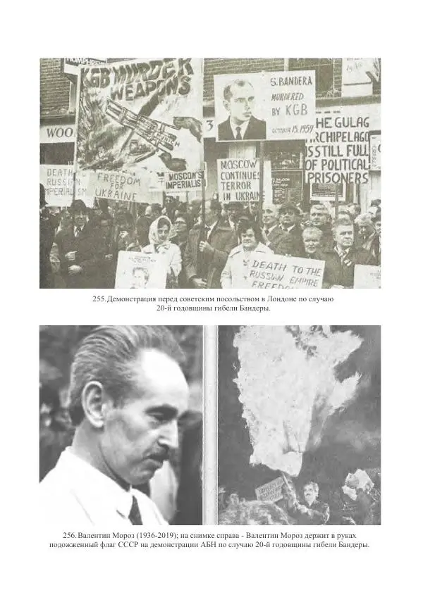 Гжегож Россолински-Либе - Жизнь Степана Бандеры: терроризм, фашизм, геноцид, культ - Страница № 787