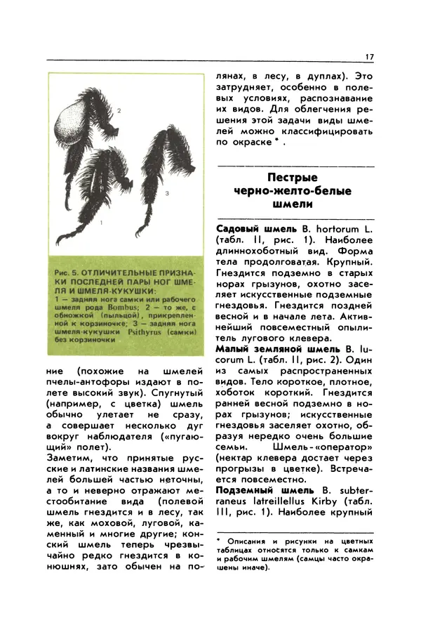 Виктор Гребенников - Шмели - опылители клевера - Страница № 16