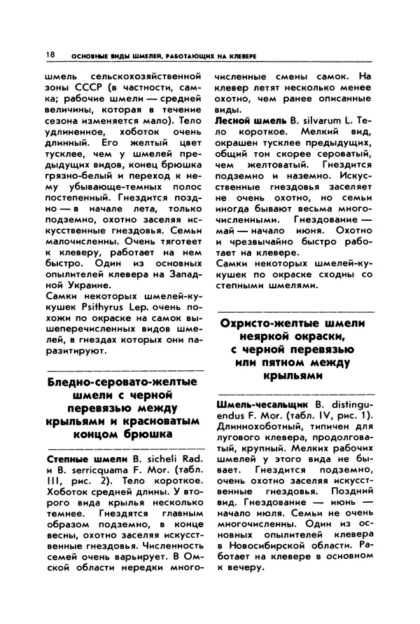 Виктор Гребенников - Шмели - опылители клевера - Страница № 17