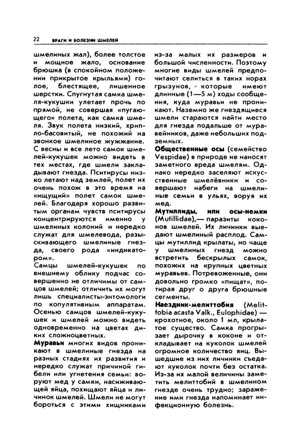 Виктор Гребенников - Шмели - опылители клевера - Страница № 21