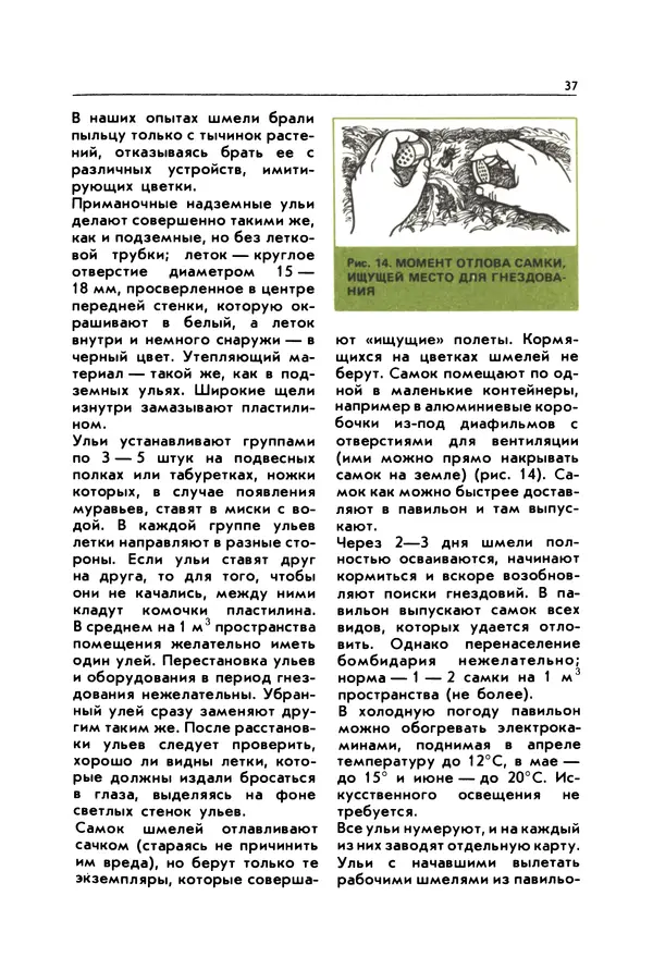 Виктор Гребенников - Шмели - опылители клевера - Страница № 36