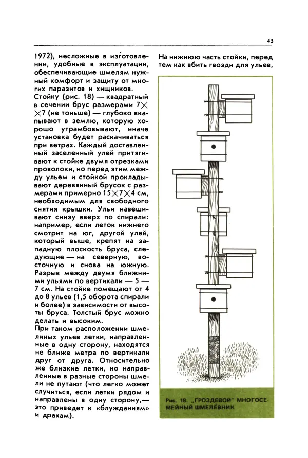 Виктор Гребенников - Шмели - опылители клевера - Страница № 42