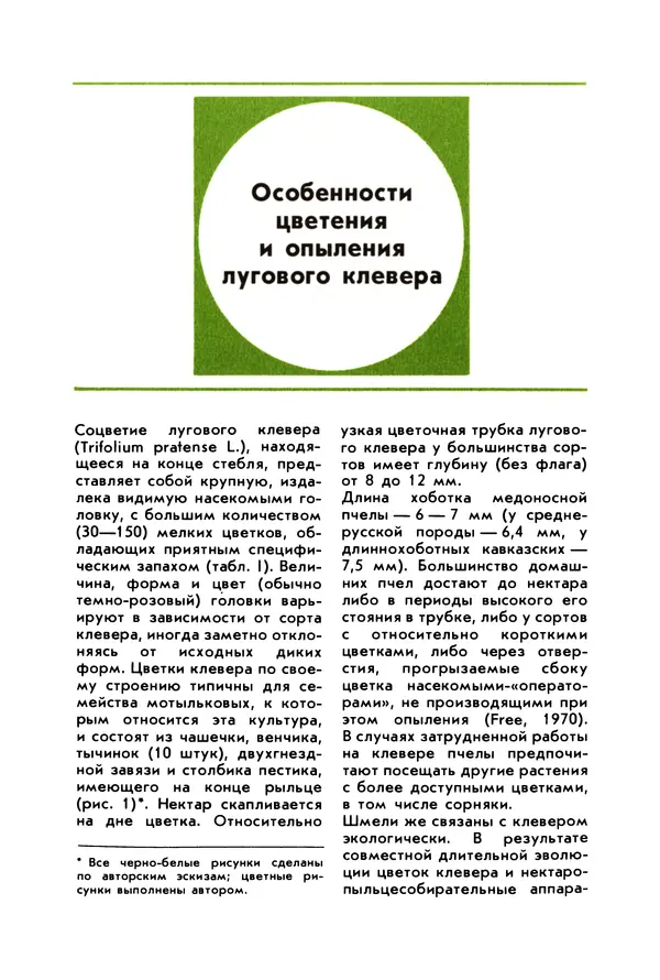 Виктор Гребенников - Шмели - опылители клевера - Страница № 7