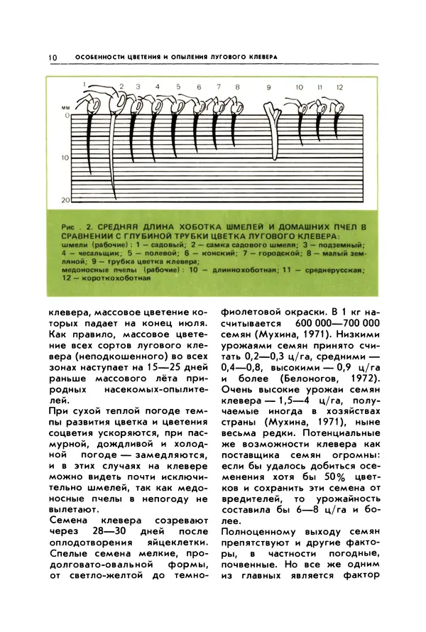 Виктор Гребенников - Шмели - опылители клевера - Страница № 9
