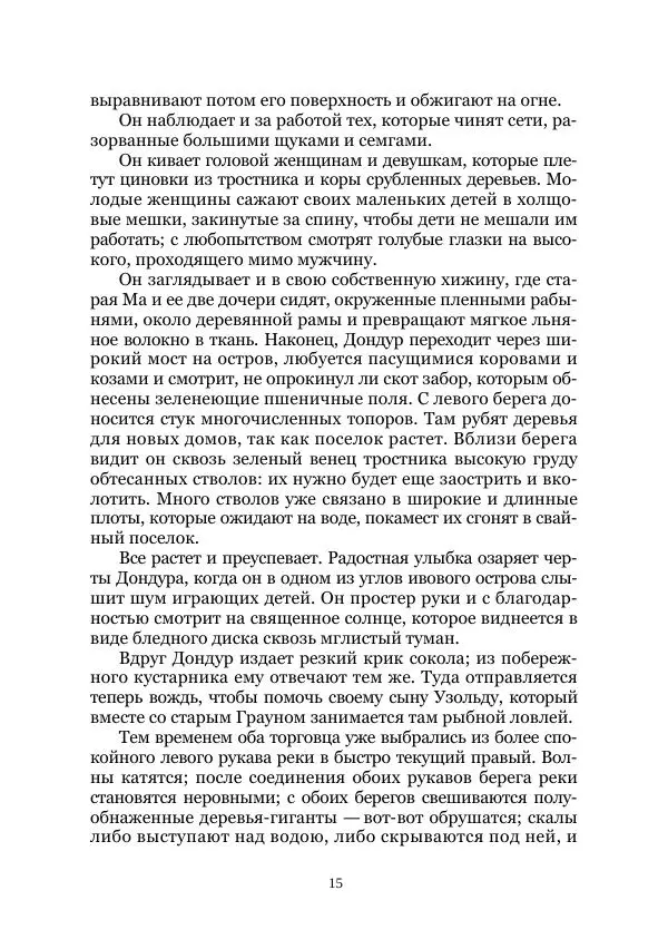 Карл Фердинандс - Свайный поселок - Страница № 15