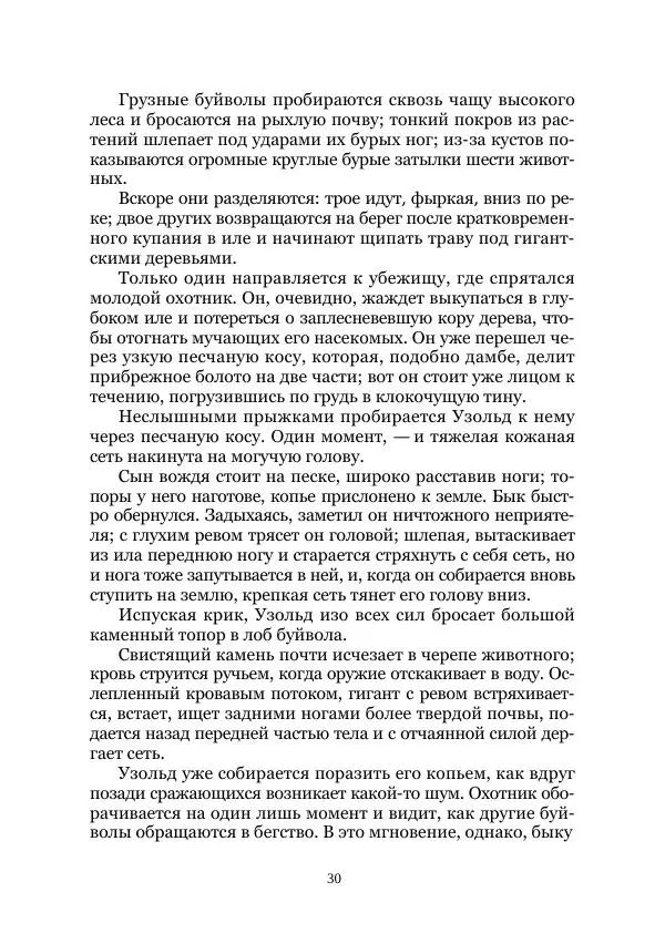 Карл Фердинандс - Свайный поселок - Страница № 30