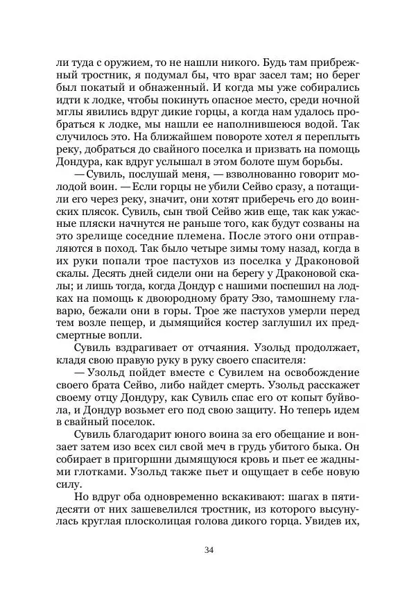 Карл Фердинандс - Свайный поселок - Страница № 34
