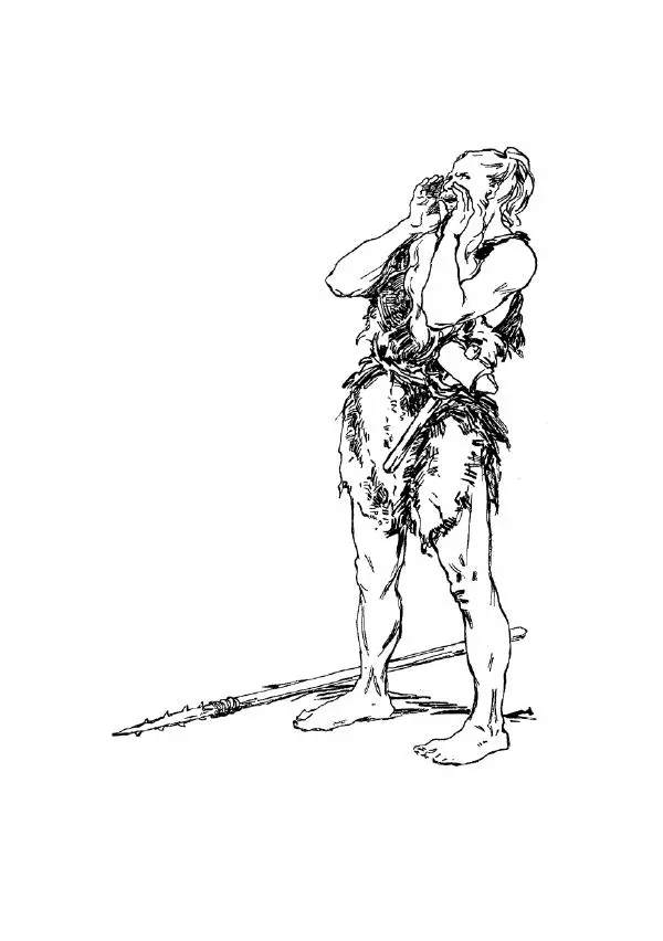 Карл Фердинандс - Свайный поселок - Страница № 49