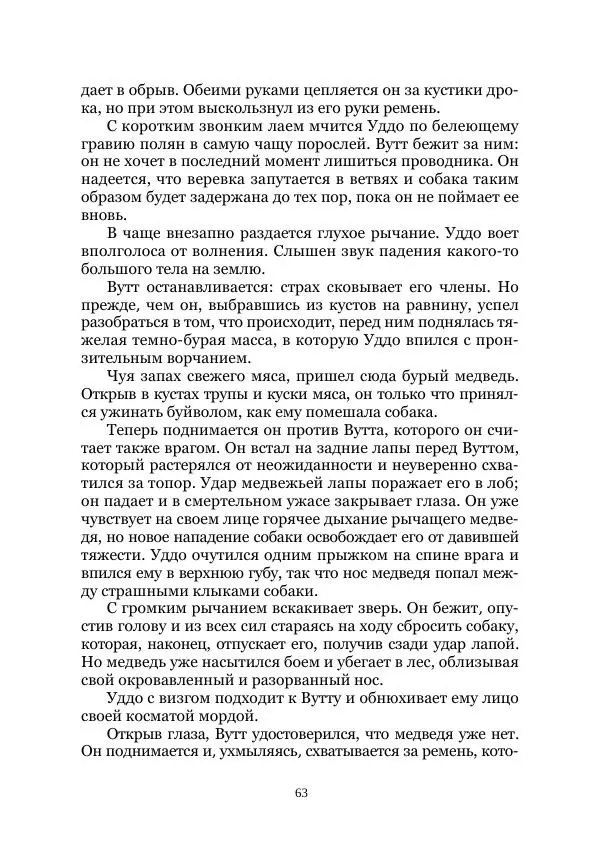 Карл Фердинандс - Свайный поселок - Страница № 63