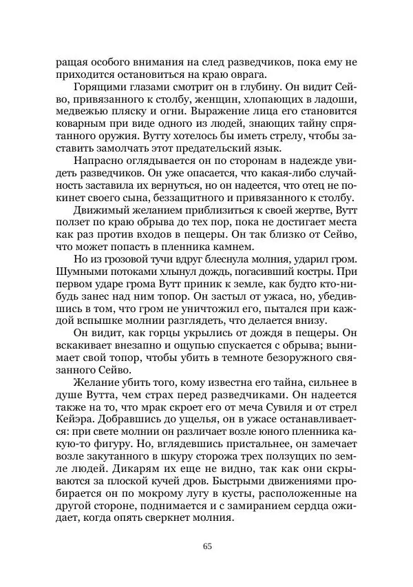 Карл Фердинандс - Свайный поселок - Страница № 65