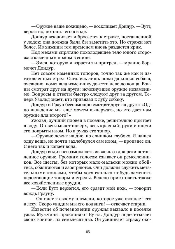 Карл Фердинандс - Свайный поселок - Страница № 85