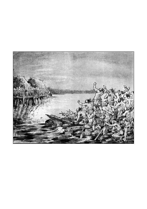 Карл Фердинандс - Свайный поселок - Страница № 105