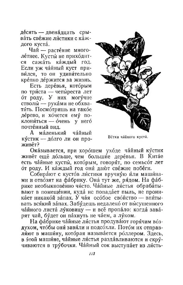 Константин Паустовский - Мир вокруг нас - Страница № 120