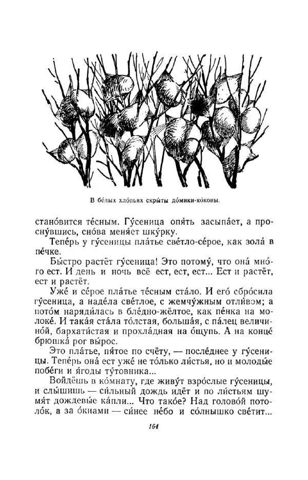 Константин Паустовский - Мир вокруг нас - Страница № 170