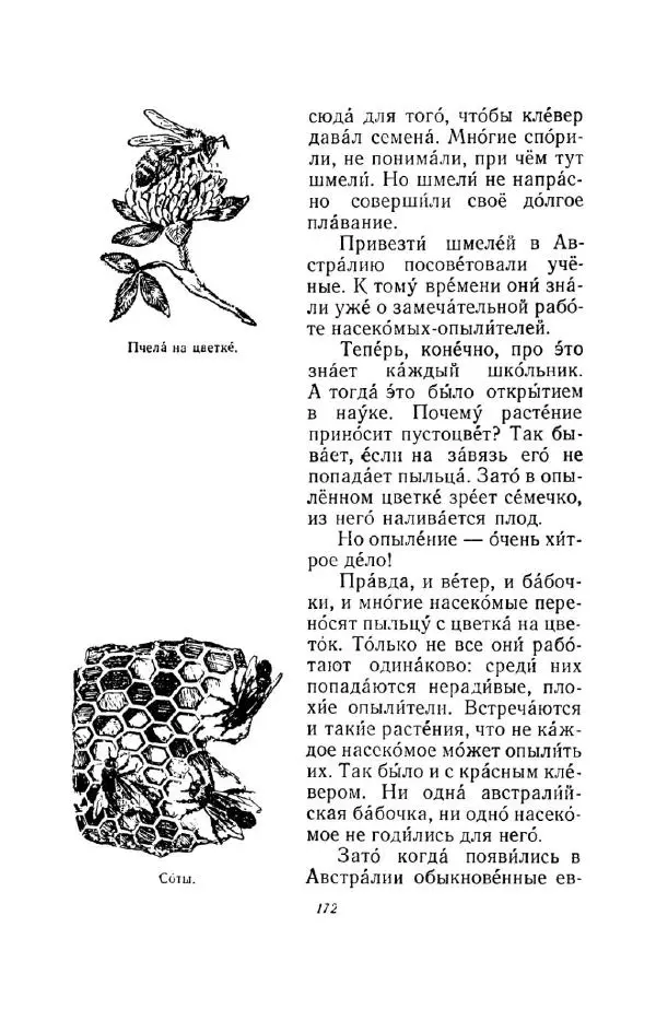 Константин Паустовский - Мир вокруг нас - Страница № 178