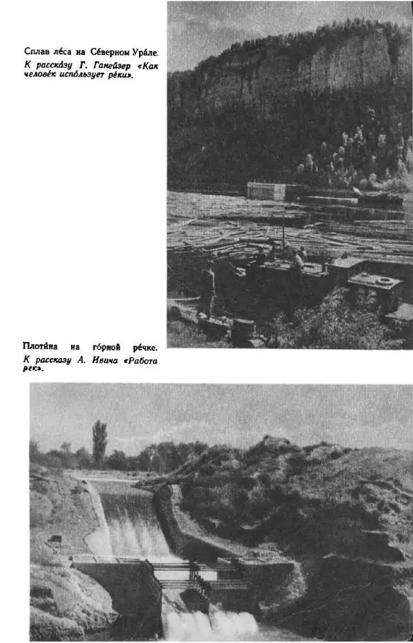 Константин Паустовский - Мир вокруг нас - Страница № 234