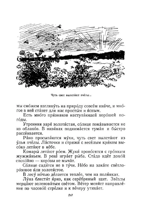 Константин Паустовский - Мир вокруг нас - Страница № 259