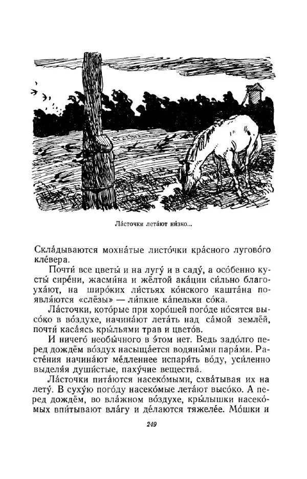 Константин Паустовский - Мир вокруг нас - Страница № 261