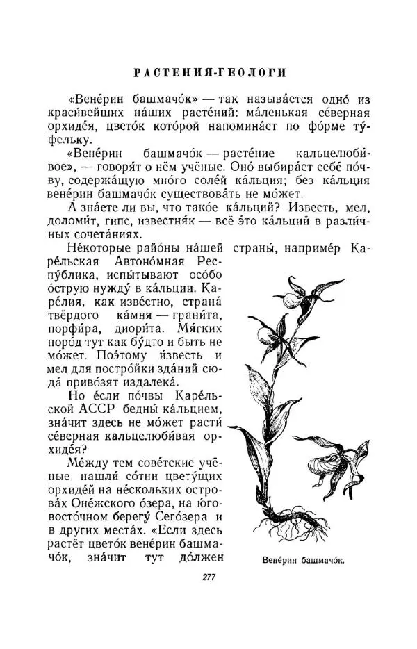 Константин Паустовский - Мир вокруг нас - Страница № 288