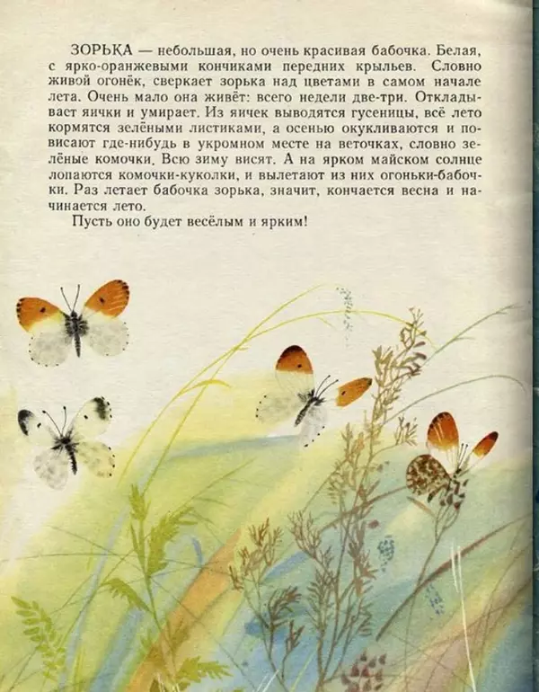 Юрий Аракчеев - Веселое лето - Страница № 14