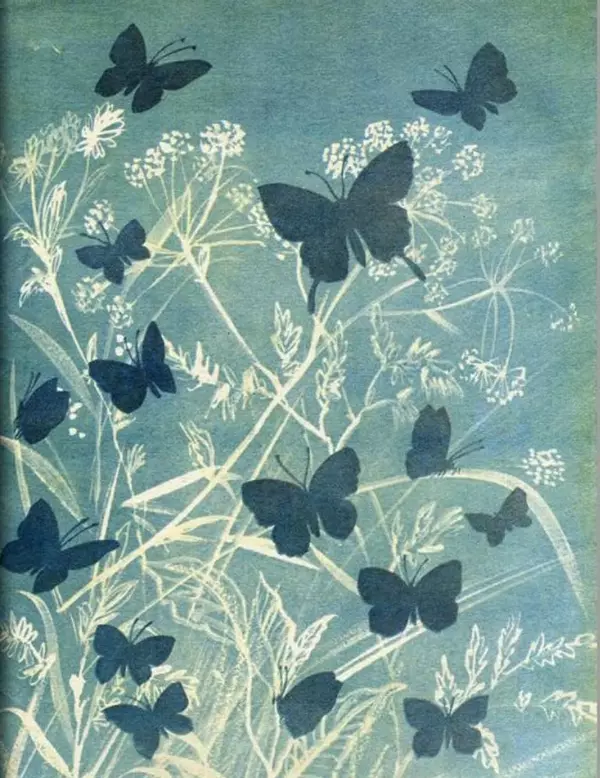 Юрий Аракчеев - Веселое лето - Страница № 15