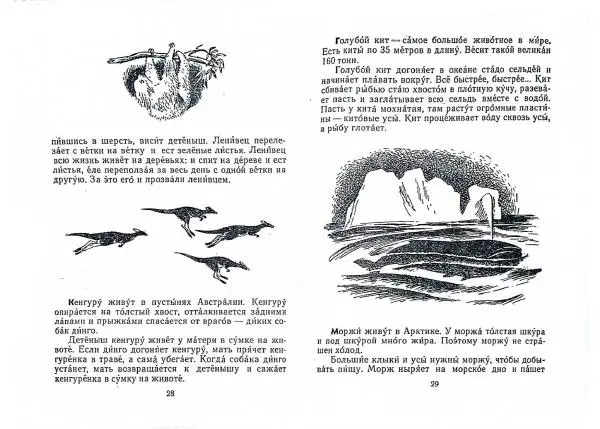 Геннадий Снегирёв - Письма из разных краев - Страница № 16