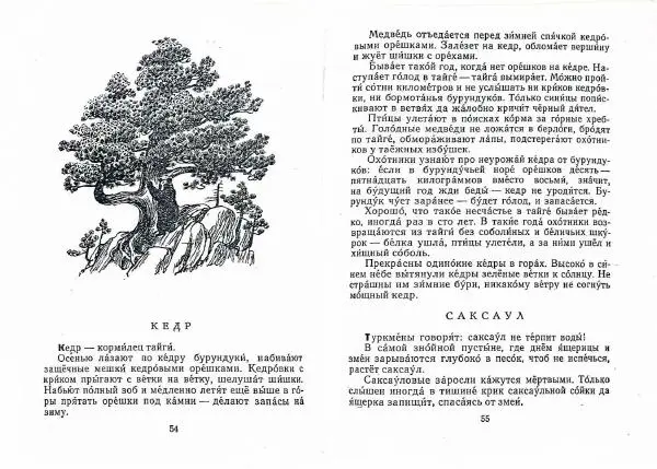 Геннадий Снегирёв - Письма из разных краев - Страница № 29