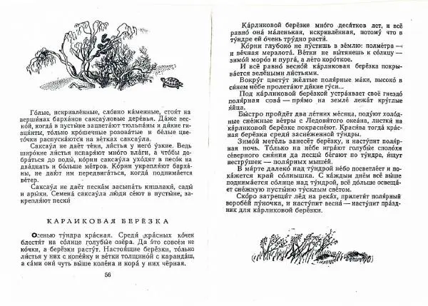 Геннадий Снегирёв - Письма из разных краев - Страница № 30