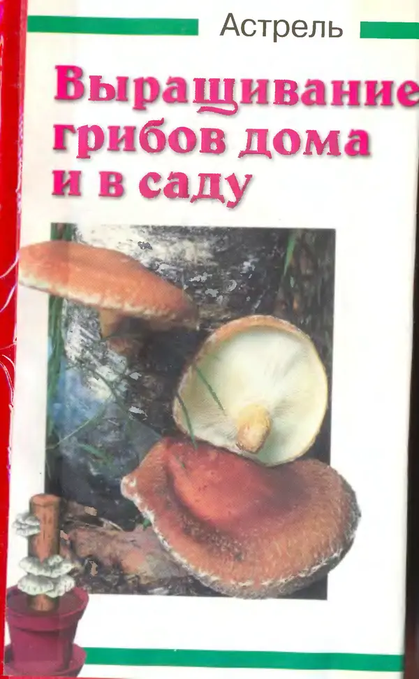 Иоланда Энгльбрехт - Выращивание грибов дома и в саду - Страница № 1