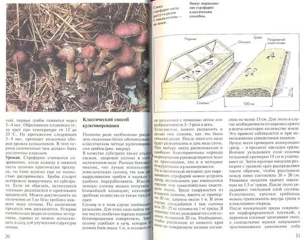 Иоланда Энгльбрехт - Выращивание грибов дома и в саду - Страница № 11
