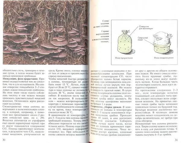 Иоланда Энгльбрехт - Выращивание грибов дома и в саду - Страница № 16