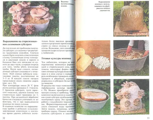 Иоланда Энгльбрехт - Выращивание грибов дома и в саду - Страница № 17